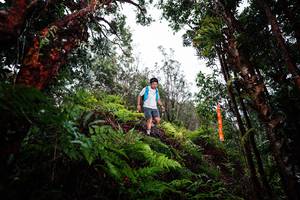 BIB: 
                            <button type="button" onclick="openModal(26205129)" class="btn btn-primary btn-sm float-right btn-popup" data-toggle="modal" data-target=".modal-high-quality">
                        <i class="fas fa-shopping-cart"></i> Add to Cart
                    </button>
                                            <button type="button" onclick="isThisMe(26205129, true)" class="btn btn-success btn-sm float-right btn-popup btn-isme hidden" data-toggle="tooltip" data-placement="bottom" title="นี่คือรูปของคุณใช่ไหม คลิกที่นี่เพื่อเอาเข้าอัลบั้ม">
                        <i class="fas fa-plus"></i> Add to album
                    </button>
                    <button type="button" onclick="isThisMe(26205129, false)" class="btn btn-warning btn-sm float-right btn-popup btn-isnotme hidden">
                        <i class="fas fa-ban"></i> Remove from album
                    </button>